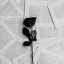 em0k1tten-blog