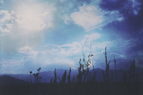 moonwavez-deactivated20131120:  Untitled