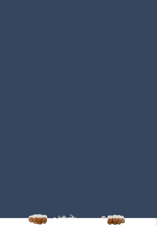ice-solation: Hiro peeking on your dash