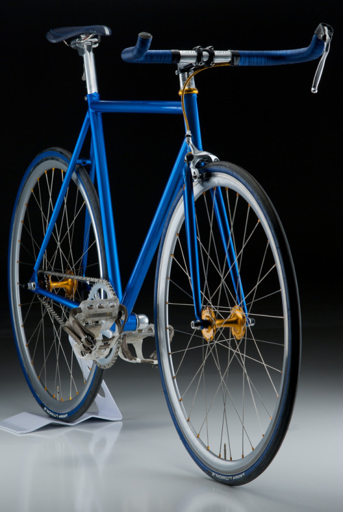 bisikleta:  The Wizard (by mobius cycle)