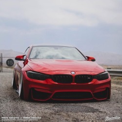 stancenation:  Fan Appreciation Weekend |