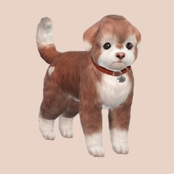 my-darling-boy:I was sad until I opened the Sims and made a dog called Chocolate