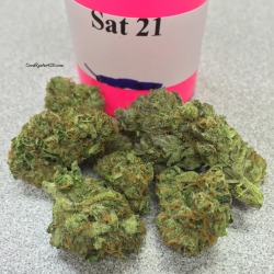 coralreefer420:  21 Dark Horse Genetics - Super Slutty Hayes 22 Life Is Good - Super Silver Haze 23 Alternative Herbal Health Services - XJ13 24 Fourfathers Farms - Blood Orange Tangie 25 Grateful Meds - XJ-13  A few more sativa samples from last month’s