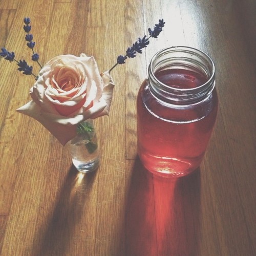 Morning Tea bewered up with a rose and sprigs of hidcote blue