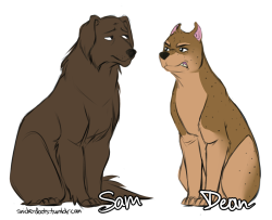 snickerdoots:  So, SPN characters as dogs…