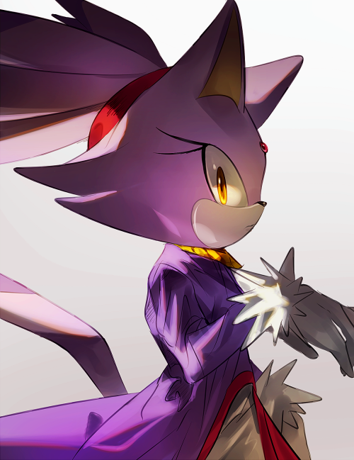 blaze the cat