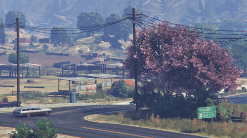 Grapeseed, Blaine County SA