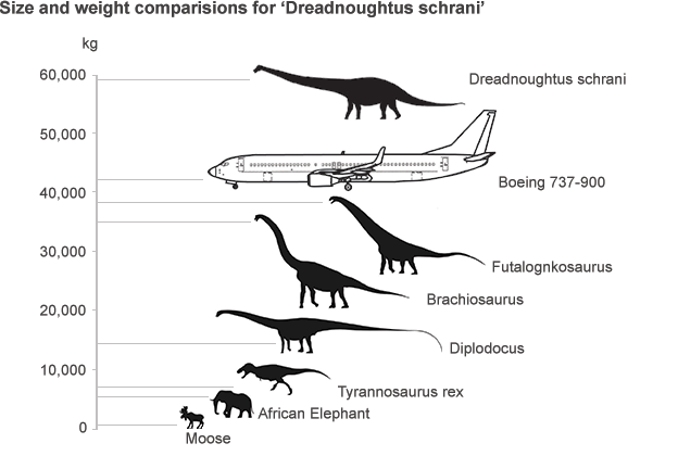 markscherz:  gameraboy:  Comparing dinosaurs to a Boeing 737-900. Via BBC News  Not gonna lie, there