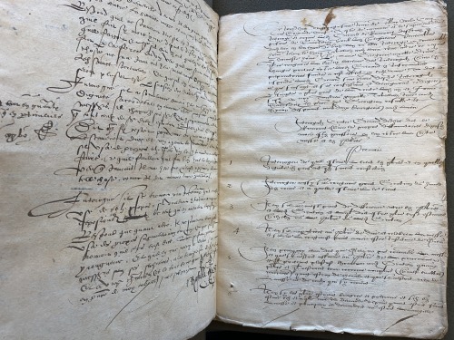Ms. Codex 1195 -Procès criminel contre Girard Didelot blasphémateurThis manuscript is the original