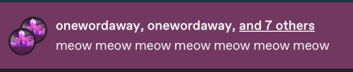 Okay So Someone On Tumbler Just Informed Me You Can Click On These Two Little Cats