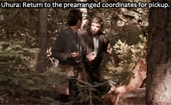  I should have gone to Yosemite with the Captain. 