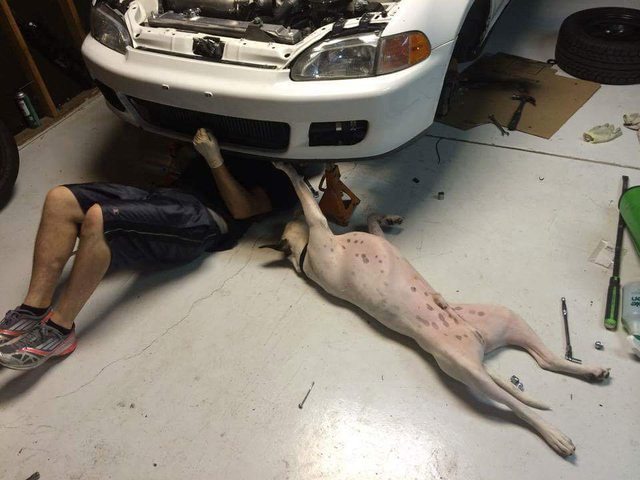 redditfront:  I dunno man, your radiator is looking pretty ruff. 