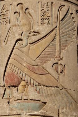 amntenofre:    Double Temple of Haroeris (Horus the Ancient) and Sobek at Ombos (“Kom Ombo”),detail from one of the columns of the Forecourt:the Goddess Nekhbet in Her form of vulture represented upon the ‘neb’-basket, wearing the White Crown