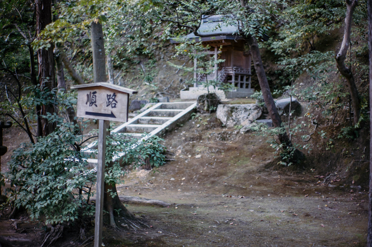 Walking around in Kyoto
November 2019
Instagram | YouTube