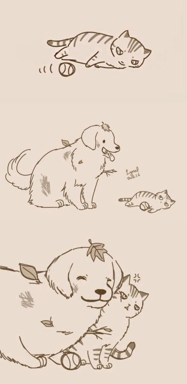 noisy–brain: pr1nceshawn: Dogs And Cats  by Lynol  .  This was so cute wtf 