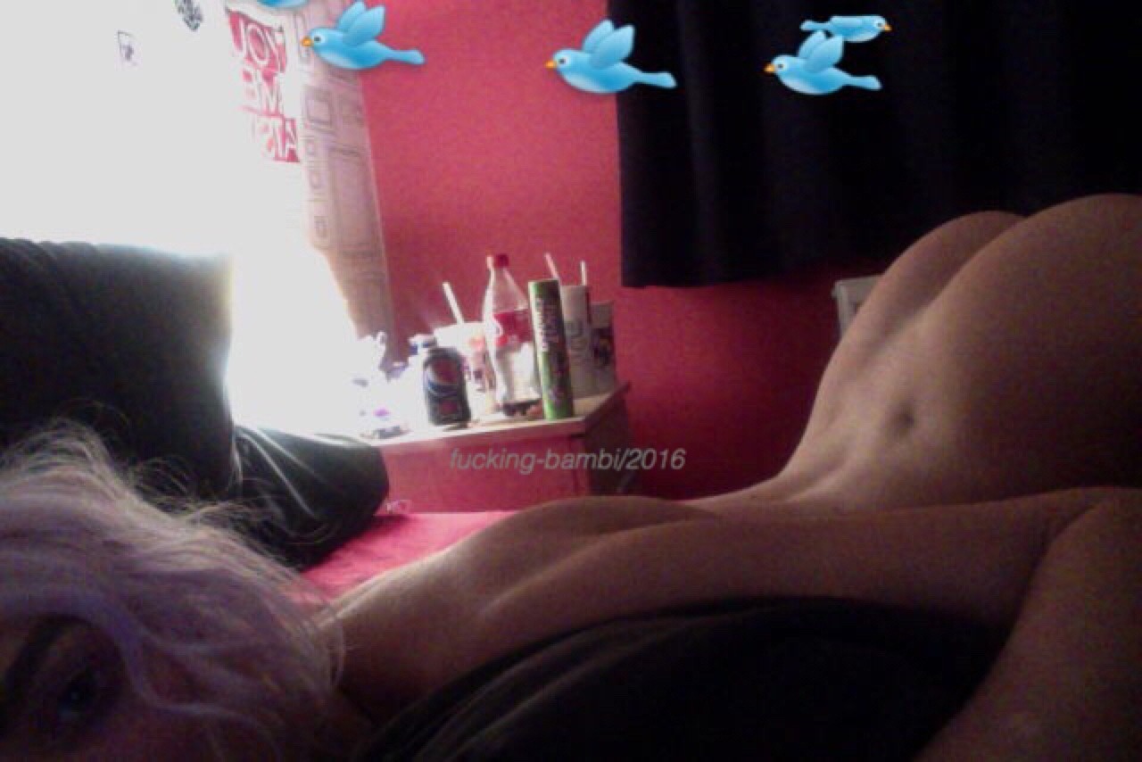 fucking-bambi:  tweet tweet