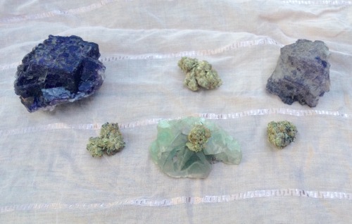 weed-prophet: dankgirl420: Fluorite and cherry pie Your crystals & bud