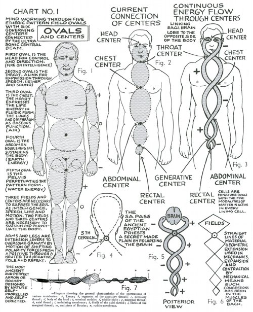 metanoia-world:Polarity Therapy  Charts 1-10 &ldquo;The Wireless Anatomy of Man&