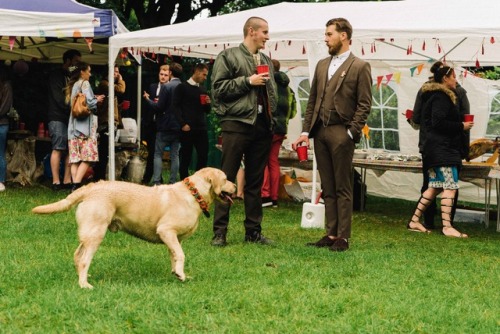 Dogs at a WeddingWedding of Mitchell &amp; Millie, my brother and now sister in law. July 2016Weddin