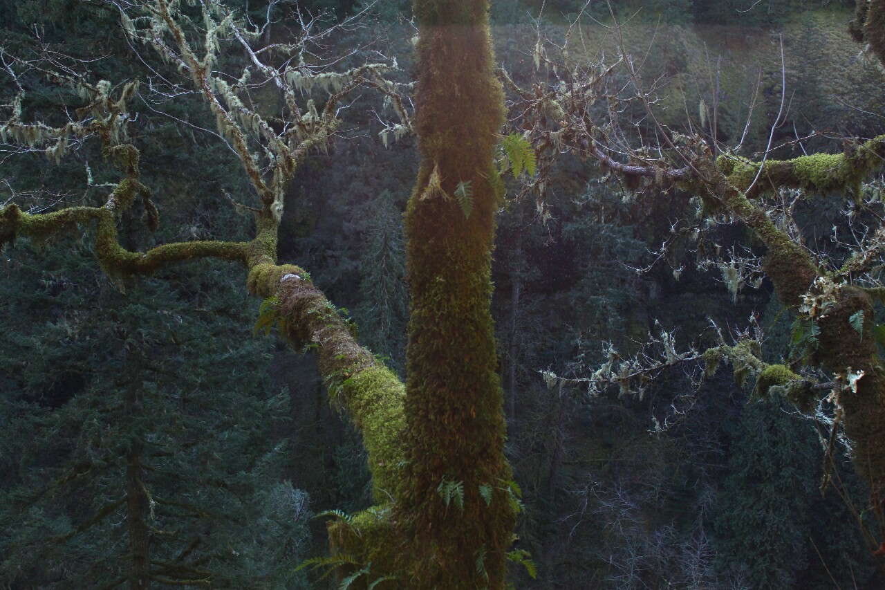 overnitereligion:  eagle creek/punchbowl falls, oregon