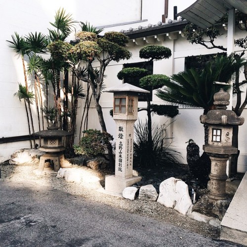 premxa: aestheticales: // p r e m x a  Lush