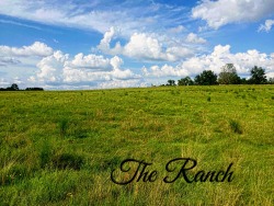 ranchershotwife:  # my happy place