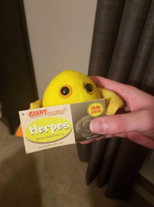 So I have a giant Herpes plush from Giant Microbes…. And for years I have given the smaller p