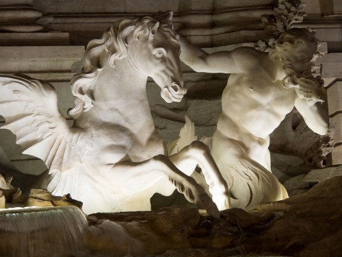 Detail /  Trevi Fountain / Rome, Italy 2017