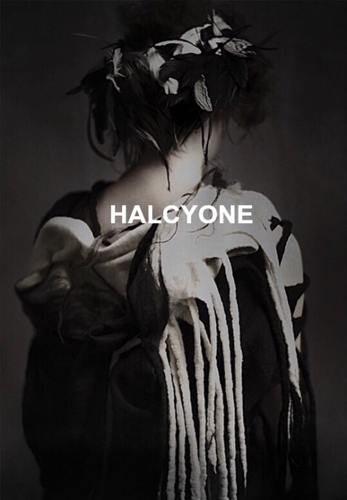 patroclux:Mythology Meme -&gt; Mythological Figures -&gt; HalcyoneHalcyone (also called Alcyone) was