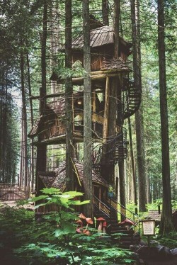 thevintageloser:  ☾ express your inner Vintage Loser // inspiration ☼  Fuck , I want to go here and I don&rsquo;t even know where it is, though I have an idea it might be Treehouse Point here in Washington