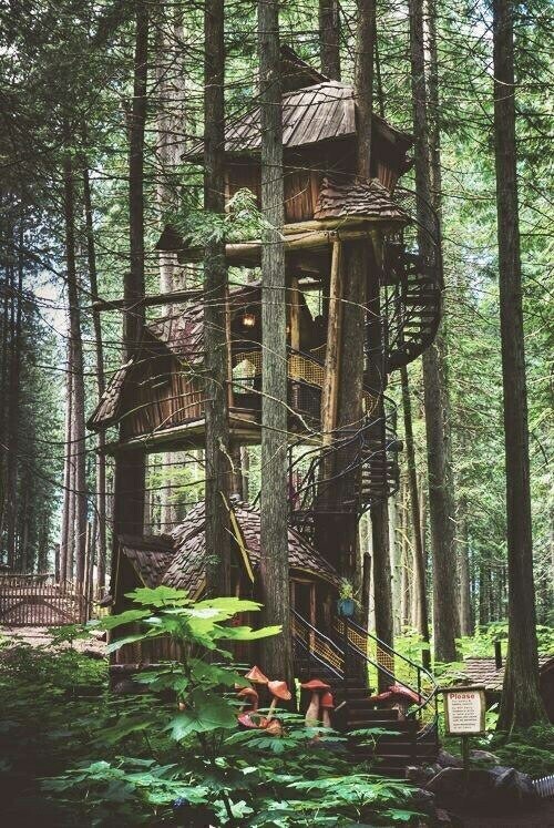 thevintageloser:  ☾ express your inner Vintage Loser // inspiration ☼  Fuck , I want to go here and I don’t even know where it is, though I have an idea it might be Treehouse Point here in Washington
