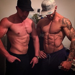Adonis Files