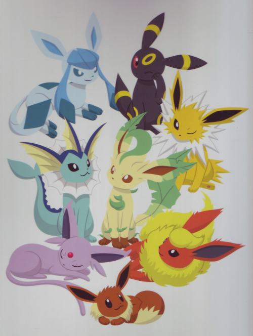 pokescans:Pokémon Center Eevee evolutions binder (back). Unfortunately, it’s too large for the scann