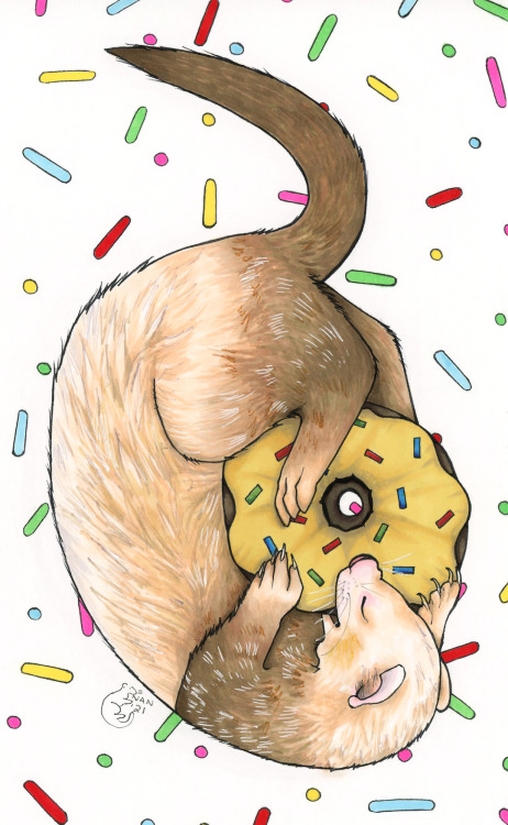 nannahdrawsferrets:@vet-and-wild‘s Macaroni : ) and the donut toy, of course.i hope you like!Look at