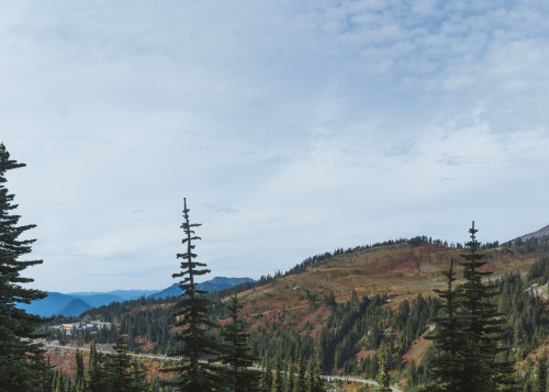 Mount Rainer