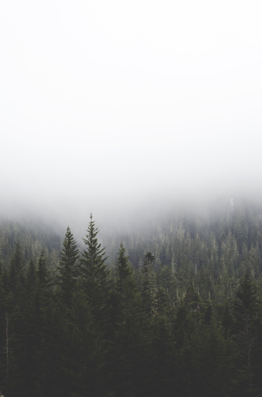 © Autumns Aurora Tumblr Flickr Instagram