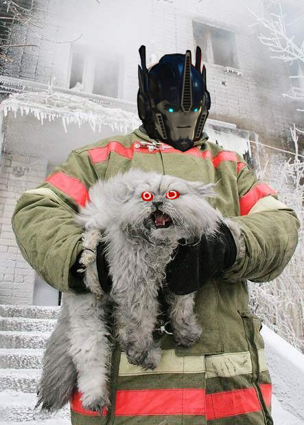 doragon13:  jessicatheshark:  firelight451:  baramusprime:   Zippy: THE CAT POSTZippy: IT ALWAYS GETS MEZippy: Every.single.time Fire: It’s beautifulFire: And that cat looks like TFP MegatronFire: The fireworker is OPFire: “PRIME I DON’T NEED ANY