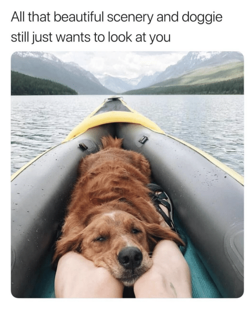 doggosource:unconditional  porn pictures