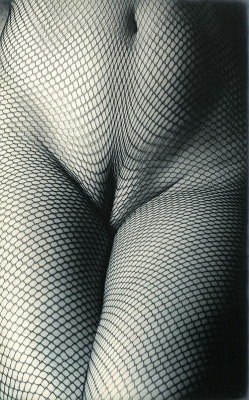 lamelancoly:  Günter Blum- Female nude with net body suit, 1994. 