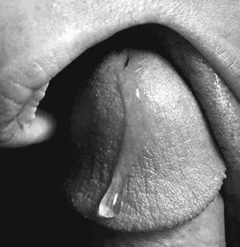 nautiemm:  *mouth waters*