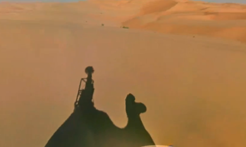 ultrafacts:  Raffia the 10-year-old camel has become the very first animal to help with Google’s mapping missions, using one of the company’s Trekker cameras to capture the landscape of the Liwa Desert in Abu Dhabi, United Arab Emirates (UAE).Raffia