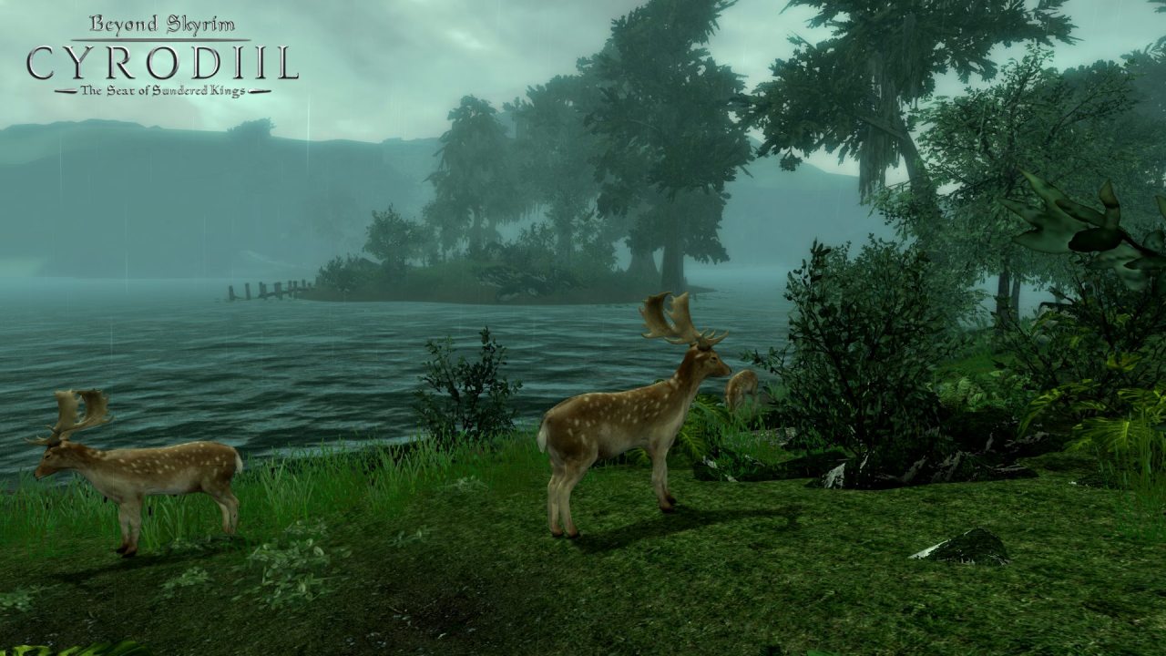 beyondskyrim:  Blackwood, the southernmost region of Cyrodiil, is the swampy, marshy