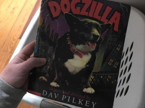 planetcorgi:First kid is coming soon… Definitely passing this one down.