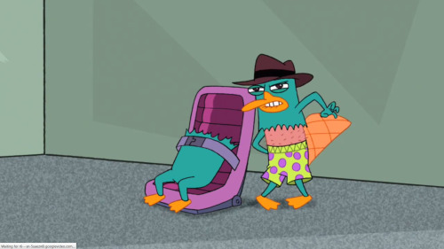 Perry the Platypus from Phineas and Ferb episode “Unfair Science Fair.” In this episode, Perry escapes Dr. Doofenshmirtz’s trap by jumping out of his fur and exposing his boxers to the viewers. Then, he runs off after Doofenshmirtz in his undies.