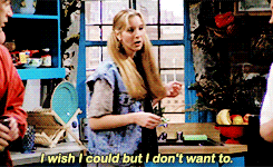 Phoebe Buffay Hooded Sweatshirt Hoodie Hoody Friends TV Show I Wish I Could But I Don't Want To