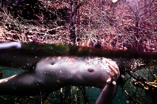 theonlymagicleftisart:Underwater Photography by Neil CraverTumblr | Facebook | WebsiteTo subscribe t