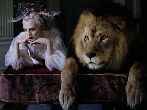 baroque-ladies:  Baroque http://baroque-ladies.tumblr.com/ 