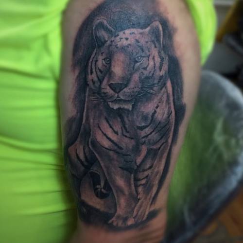 #tatu #tattoo #tatuaje #ink #inked #inkup #inklife #tiger #tigre #blacktattoo #black #blackandgray #brazo #venezuela #lara #barquisimeto #gabodiaz04