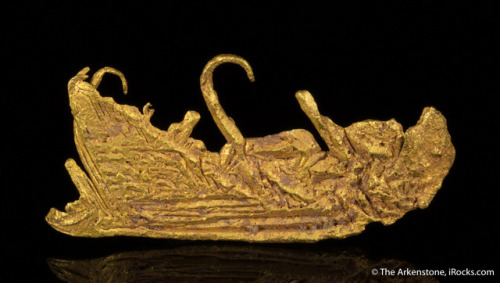 Gold - Sonora, Mexico Sculptural, crystalline &ldquo;fishhook&rdquo; gold from a rare locali