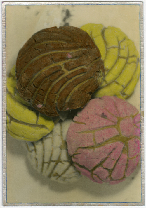 Conchas (Mexican pastry). Toned and hand colored gelatin silver print. 